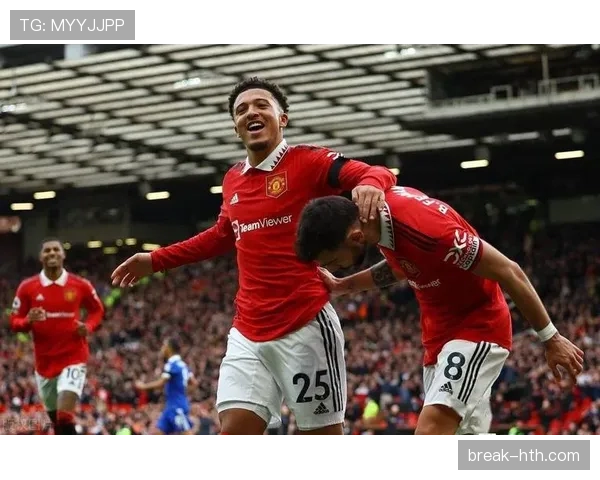 英超主场胜率走势清晰,多队表现稳健 英超主场胜率走势清晰,多队表现稳健